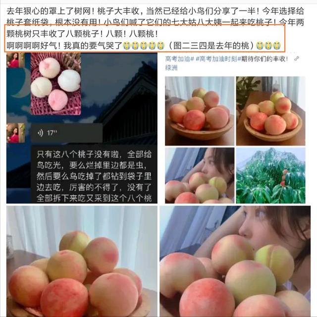 张馨予微博再次晒照尽情秀恩爱,张馨予崩溃