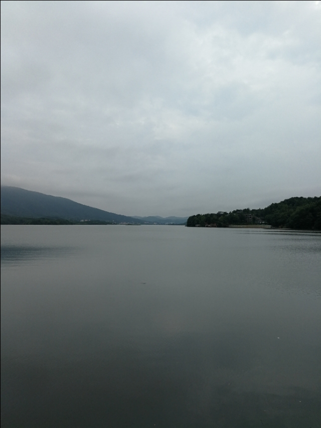 庚子律诗100首,庚子杂咏时间