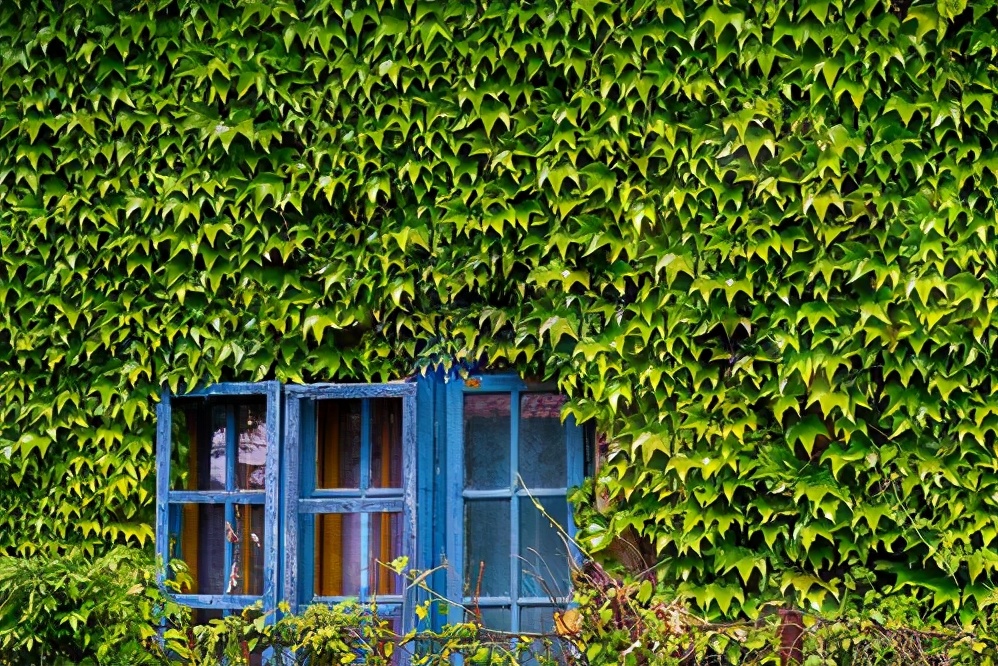 高考必背100个文化常识语文,2021必背高考文化常识