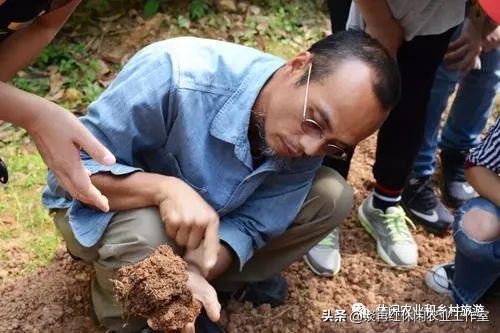 疫情过后，乡村这4个新产业赚钱肯定不比外去打工差