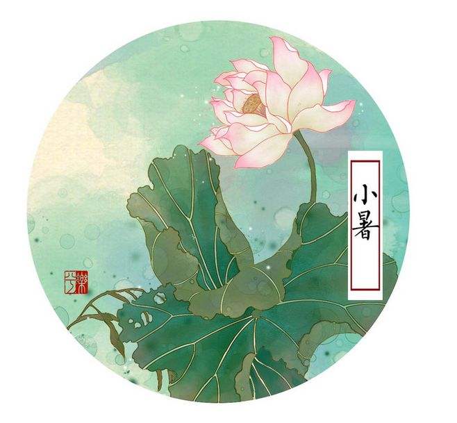 精灵之约•节气“植”说│上海的二十四节气花园小暑
