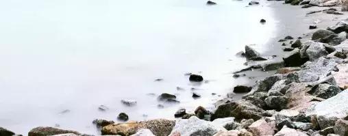 深圳湾公园这里有什么好吃的,深圳湾在哪里