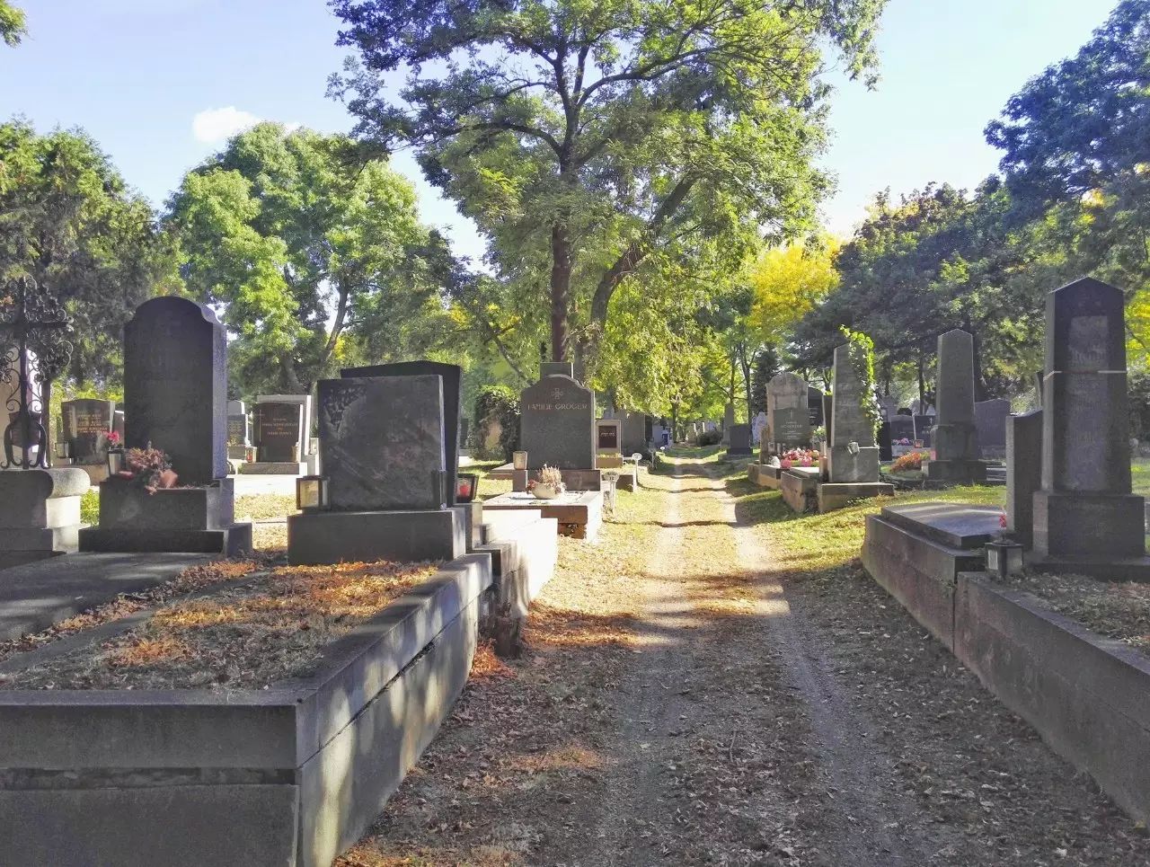 交换手记：皇家墓穴勘探笔记