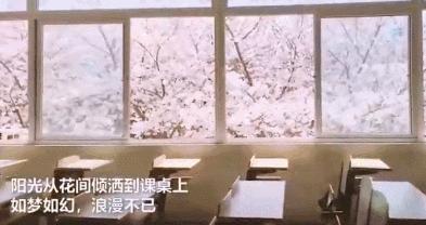 何必远赴日本！这个超级浪漫的赏樱地已花开成海，错过后悔一年