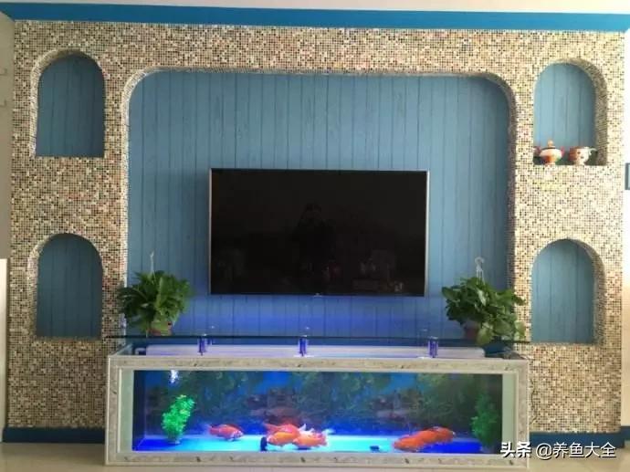 养鱼的鱼缸家里没有怎么办,养鱼没地方放鱼缸