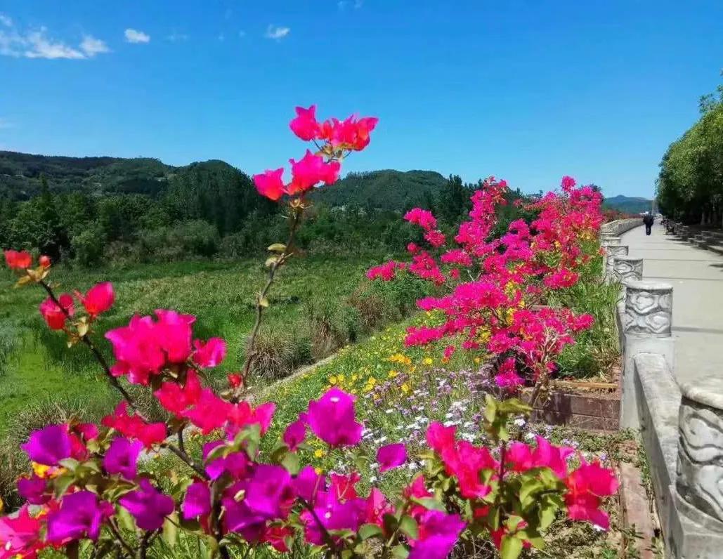 爱情的四季,写四季的散文