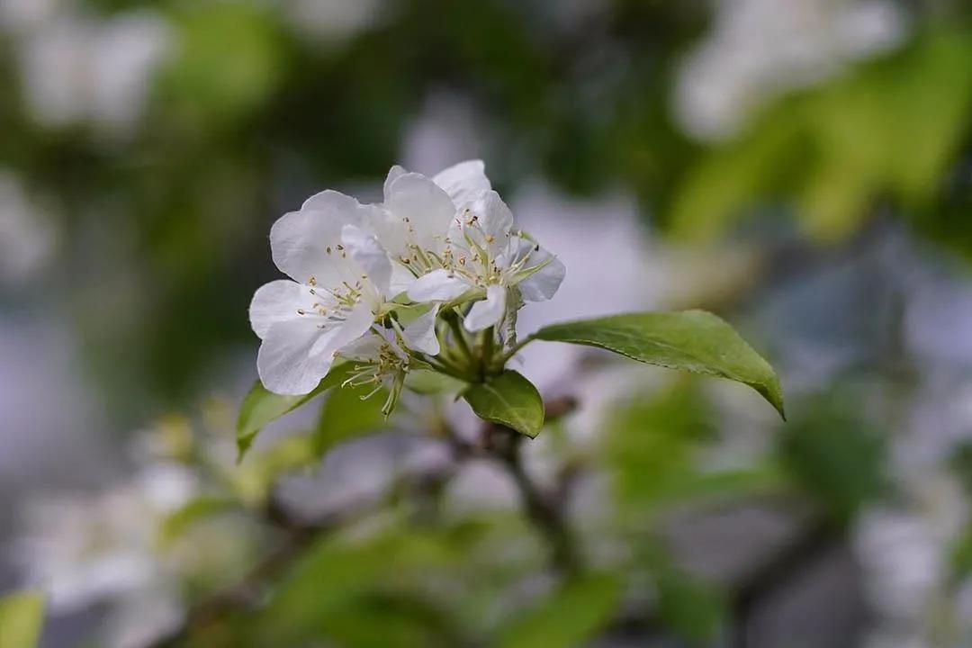 交作业啦！转接环大作战，战果展示第一章