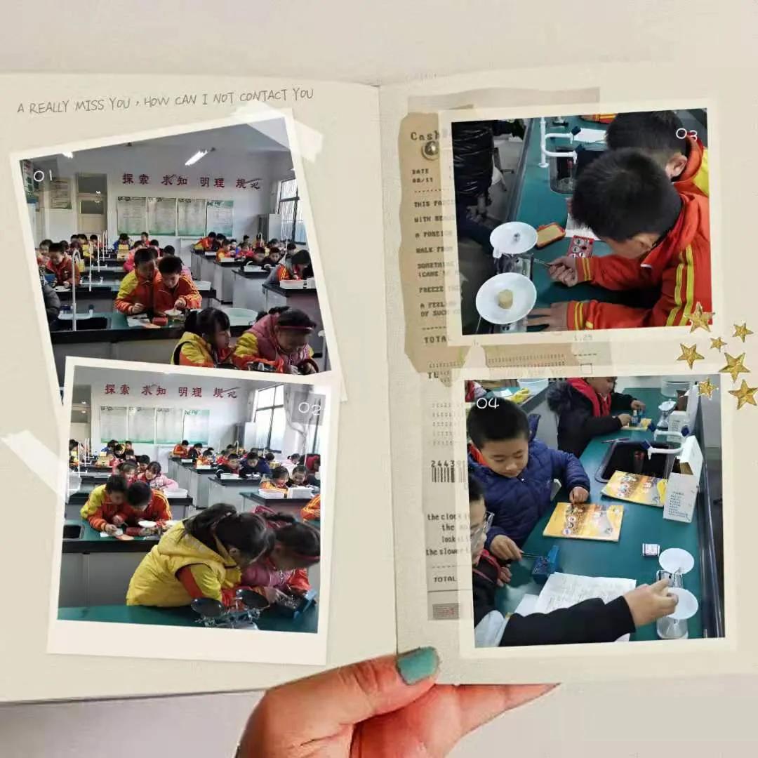 科技节家庭科学小实验比赛一年级,科学实践活动简单的小学生