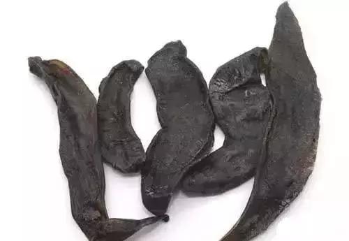 经络不通百病生视频,经络不通寒湿淤堵百病丛生