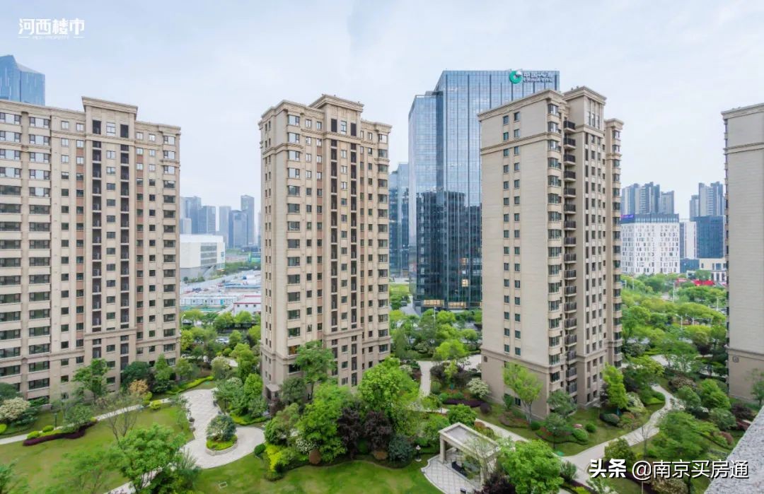 河西中新豪宅全景图,河西中心豪宅内部图片