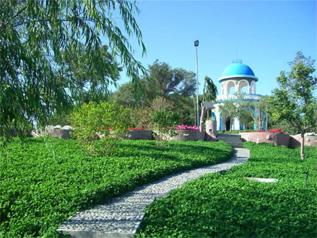 16所独立学院成功转设为民办高校,10所独立学院转本科