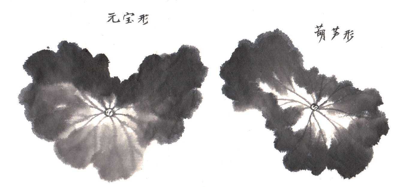 国画荷花入门基本笔画教程,国画入门零基础荷花直接画法