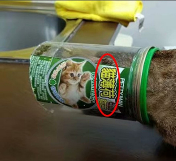 女朋友吐槽别人沟通方式,当女朋友跟你抱怨时正确操作