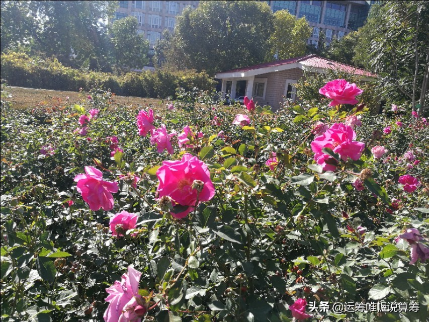 孩子学珠心算用什么算盘,算盘儿童玩法