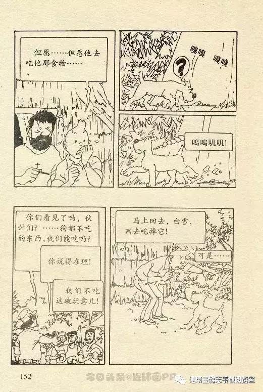 丁丁历险记之丁丁在刚果,丁丁历险记丁丁被石头绊倒