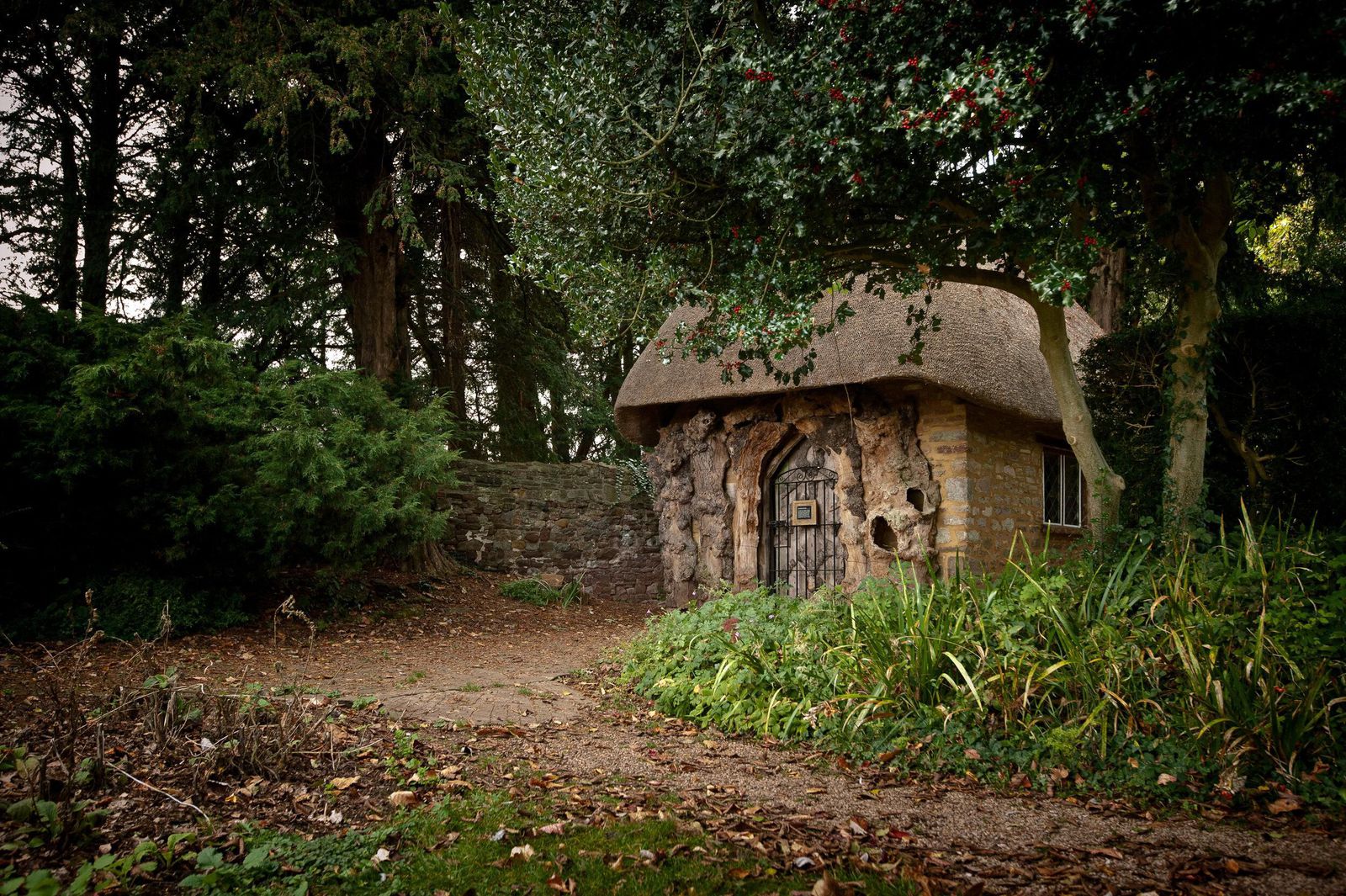 全球五到八年致命病毒,全球致命病毒以及致死人数