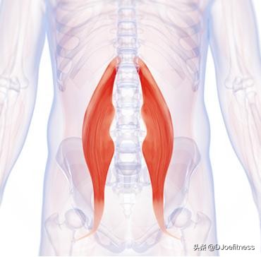 骑康复训练自行车锻炼腰部肌肉吗,练动感单车腰疼怎么办