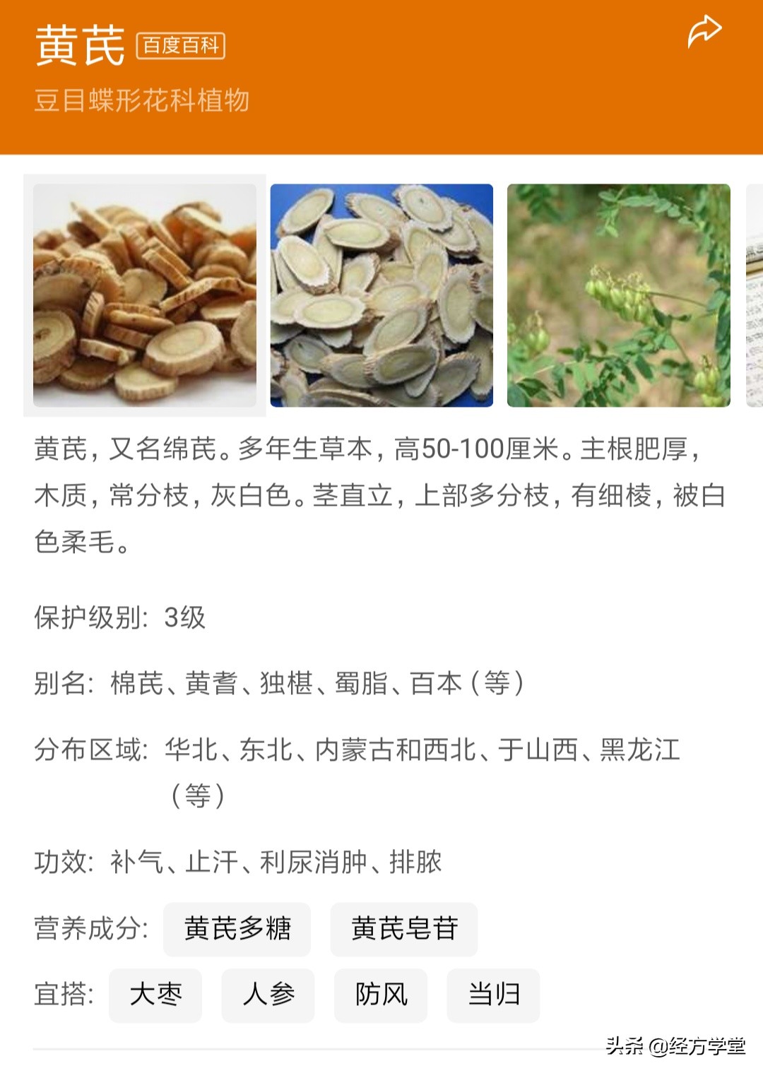 黄芪的十款妙用,黄芪粉功效与作用