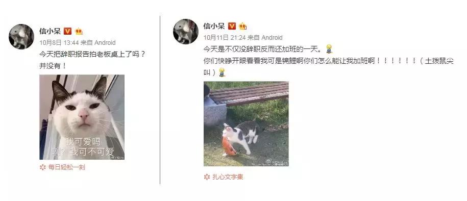 支付宝怎么免费提现不收手续费,支付宝积分兑换提现额度怎么提现