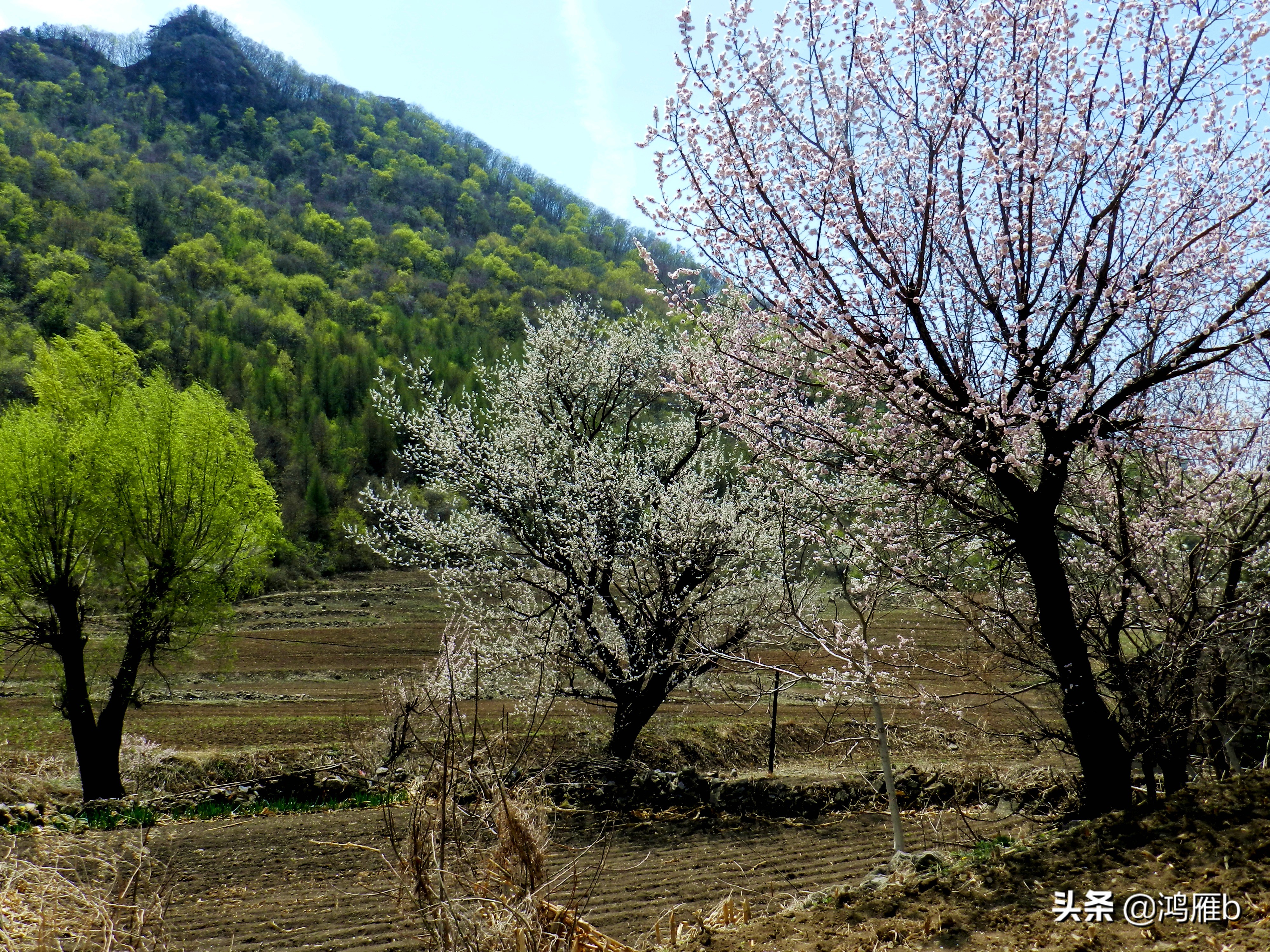 本溪小众秘境,本溪神秘山村