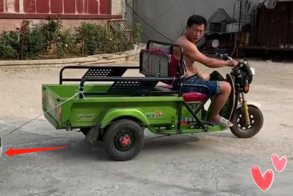 有种爷爷叫“别人家的”,树干、床垫做豪车,更有跑车“大黄蜂”