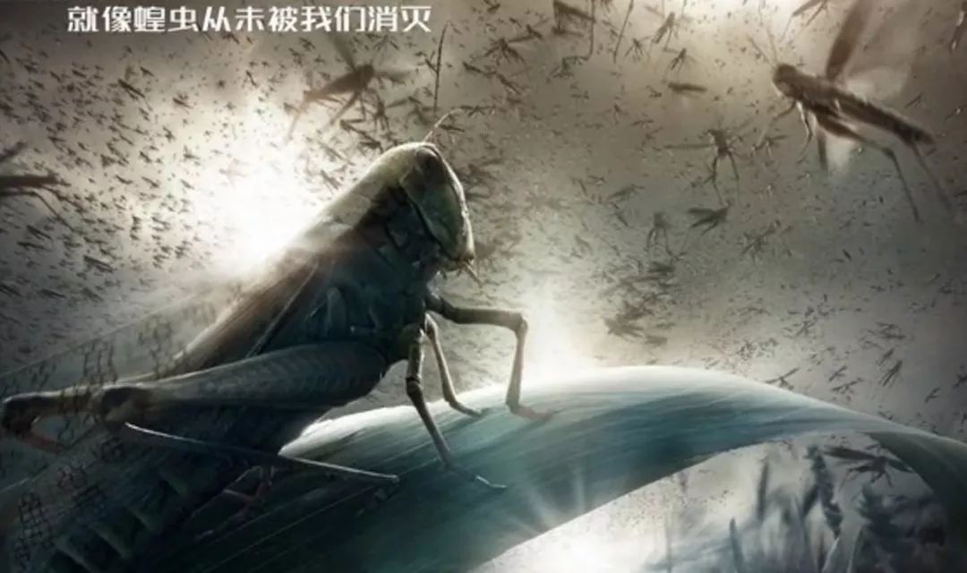 数学规律游戏,数学规律工具