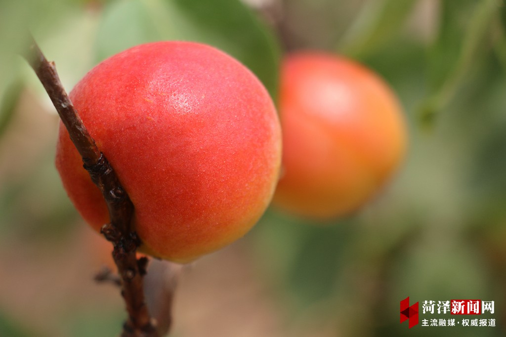山东郓城农村环境整治,郓城县环境整治
