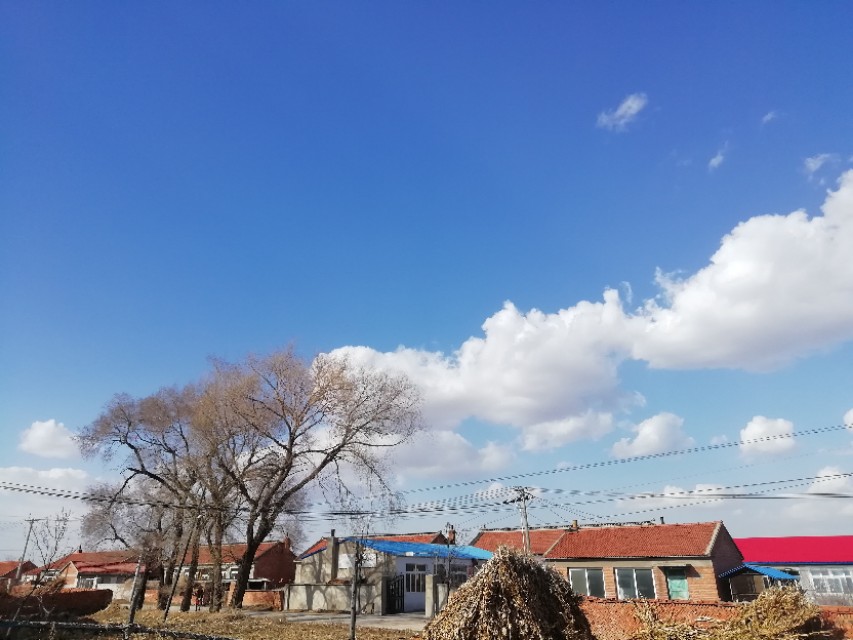 婆婆跟孙子孙女不亲,婆婆不和儿媳妇说实话还要来往吗