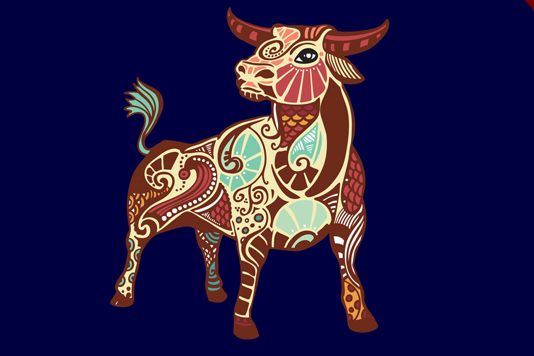 性格固执倔强如何改变,性格执拗的人怎么让其改变