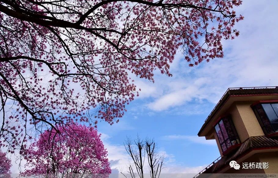 药王谷里觅旧迹（原图文）