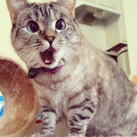 理发店治疗卵巢早衰、前列腺增生!我的下巴快掉下来了