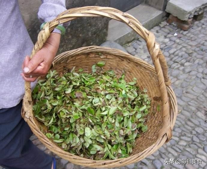 农村长在地上的野蓝莓,农村山里的一种野果