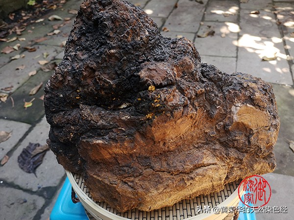 桦树茸黑金颗粒,桦树茸颜色