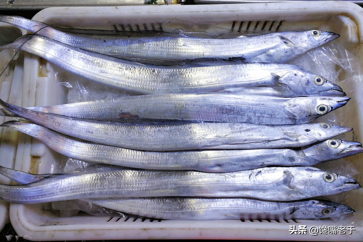 买带鱼黄眼睛和黑眼睛哪种最好,买带鱼黑眼珠好还是黄眼珠好