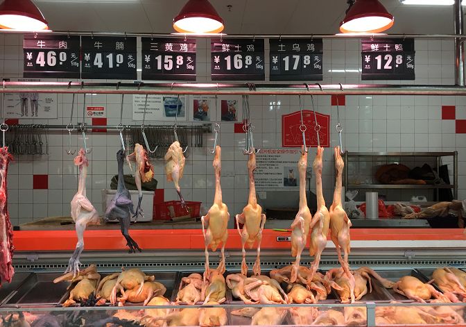 宜宾排骨,宜宾今日肉价多少元一斤