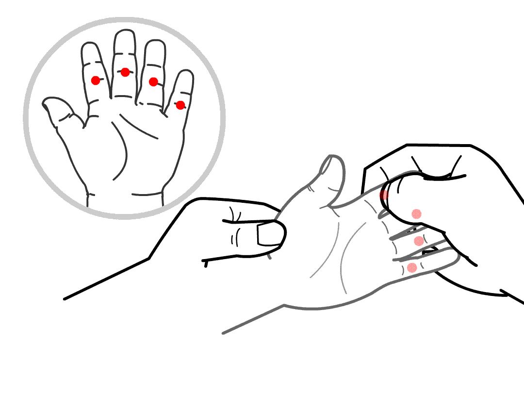 孩子光吃肉不吃菜，家长应该怎么办？