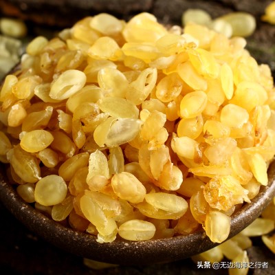 双荚皂角米和单荚皂角米,皂角米双荚的好还是单夹的好