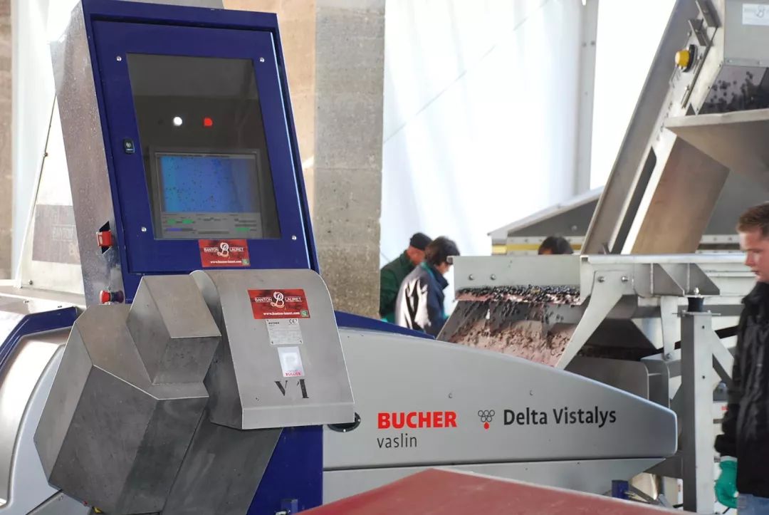 自酿葡萄酒的功效与作用,自酿山葡萄酒很涩怎么办