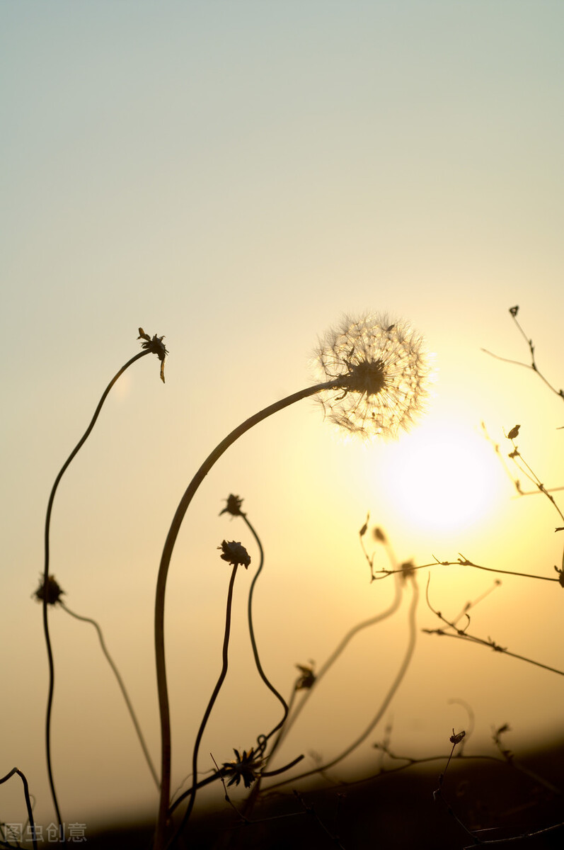 张爱玲情感语录全集,张爱玲最煽情的一句话男生版