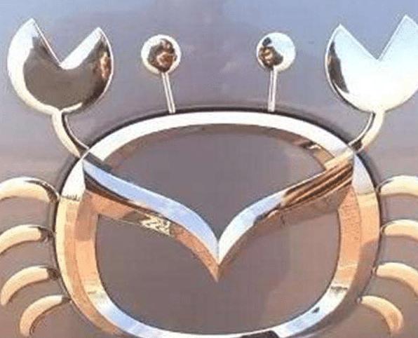 大众车标改成忍者神龟,被车主玩坏的车标中华