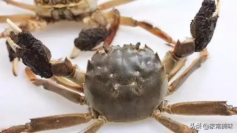 全国哪里的大闸蟹最好,哪里的大闸蟹最出名最好吃