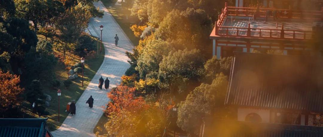 舟山副市长方维，5月23日在驴妈妈直播间带你“舟游列岛gou”！