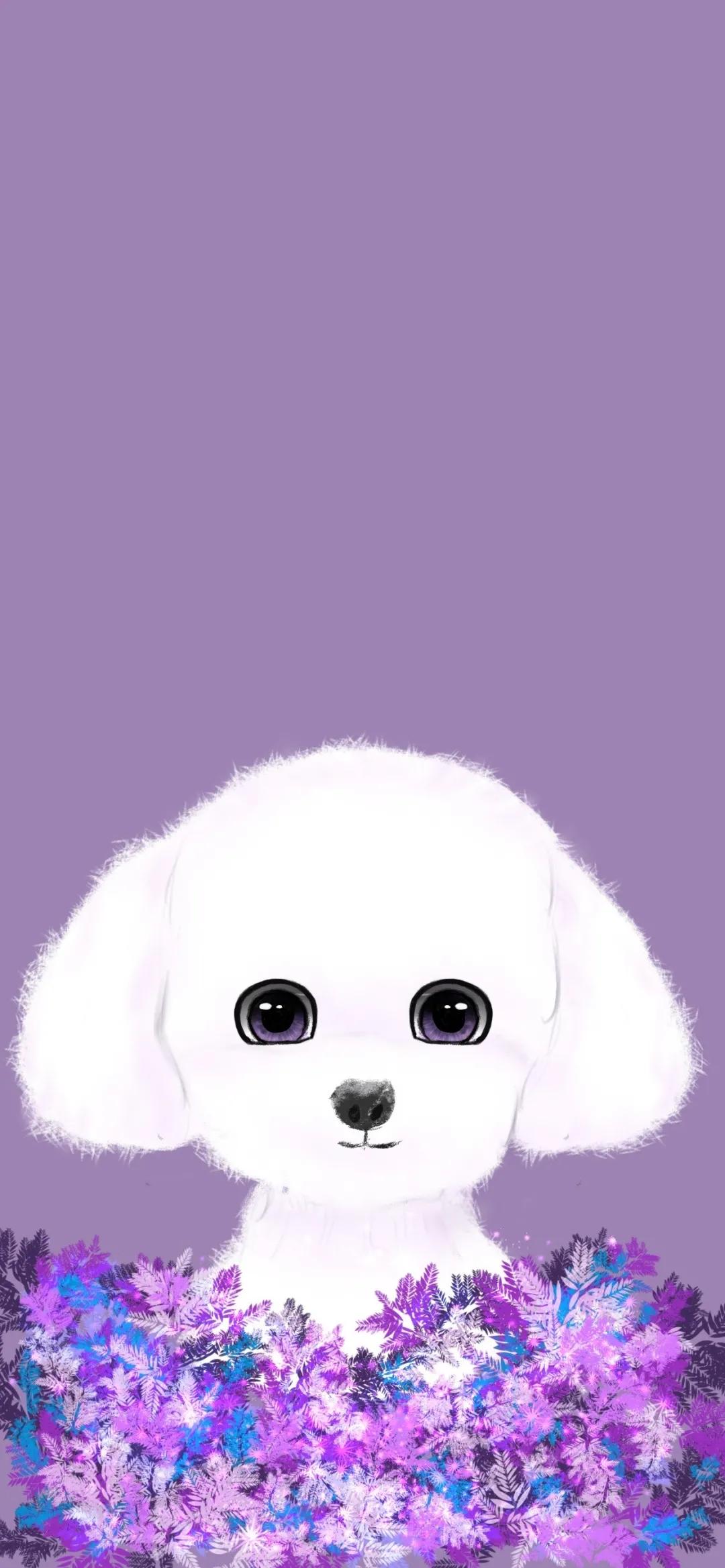 iphone壁纸,iphone壁纸官方