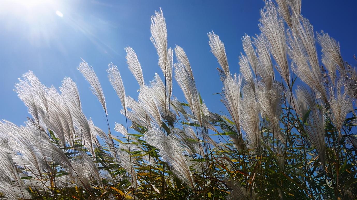 辽宁省盘锦市有什么区,浅谈全国各省份