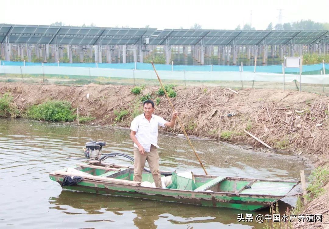 年销售额达5000多万，一手打造多个“百万富翁”，这位上过《致富经》的传奇蟹匠，又把这块土地变废为宝