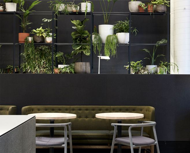 餐厅厨房油污臭味如何去除,去除厨房油烟异味的方法