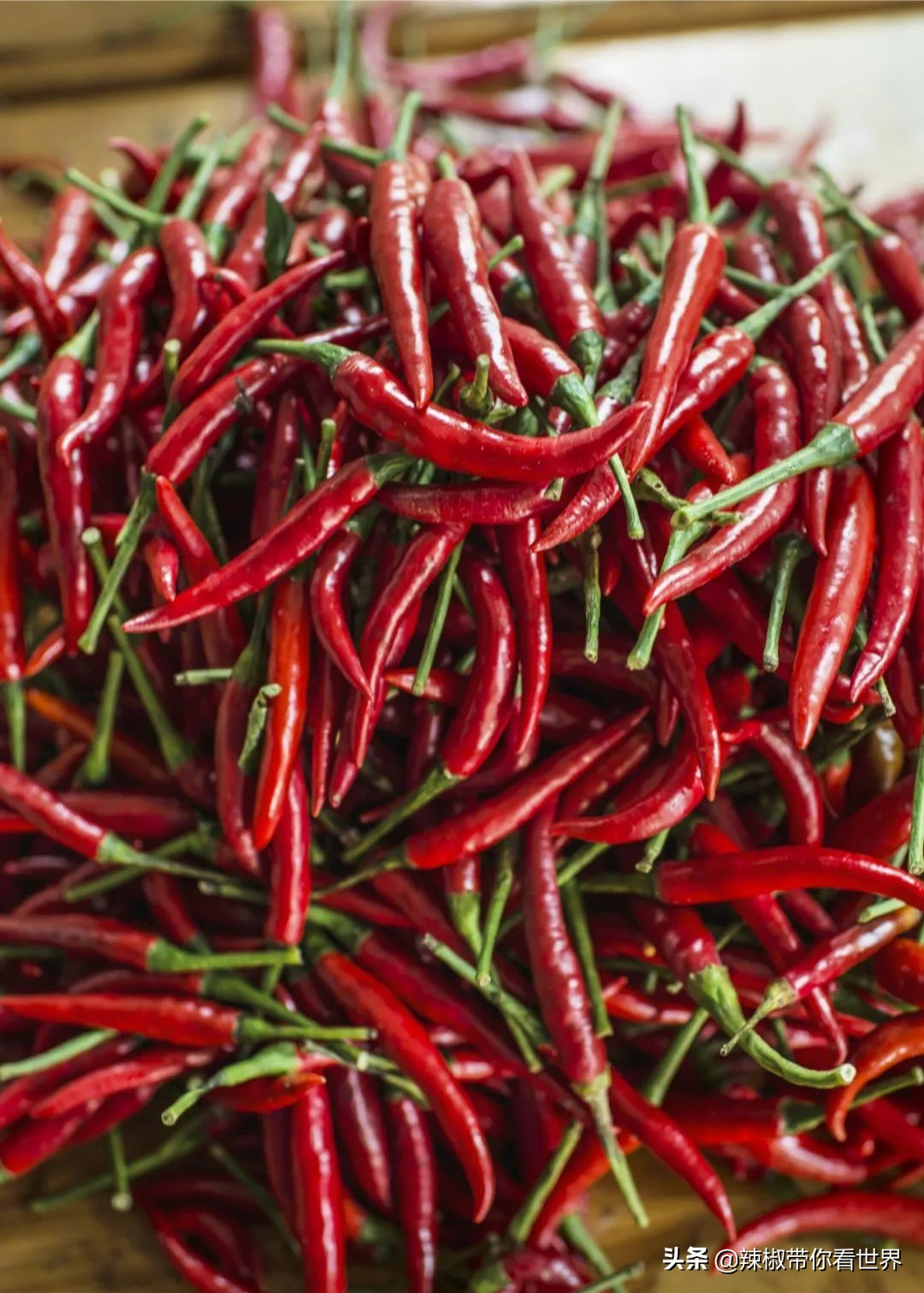 从西到东：贵州——沿河流“黔”行在这里一万种辣椒吃法向你奔来