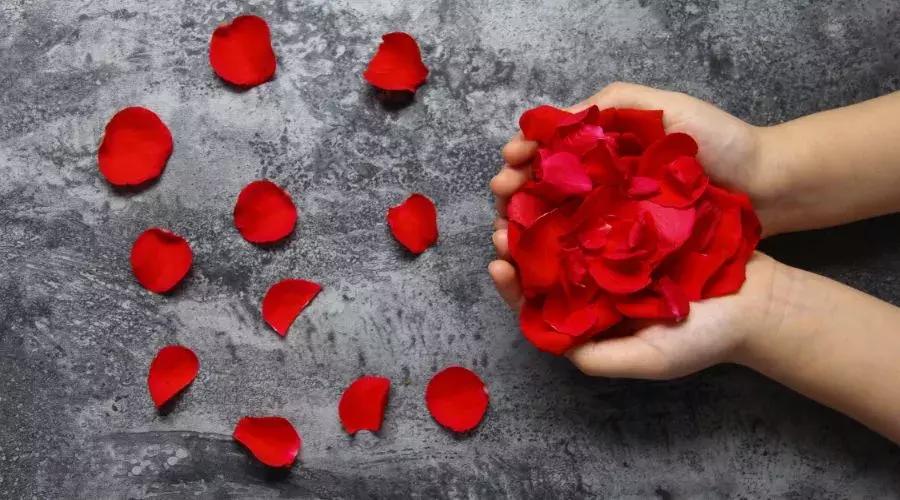 阴阳平衡则身体气血畅通,人体阴阳平衡了身体就好了