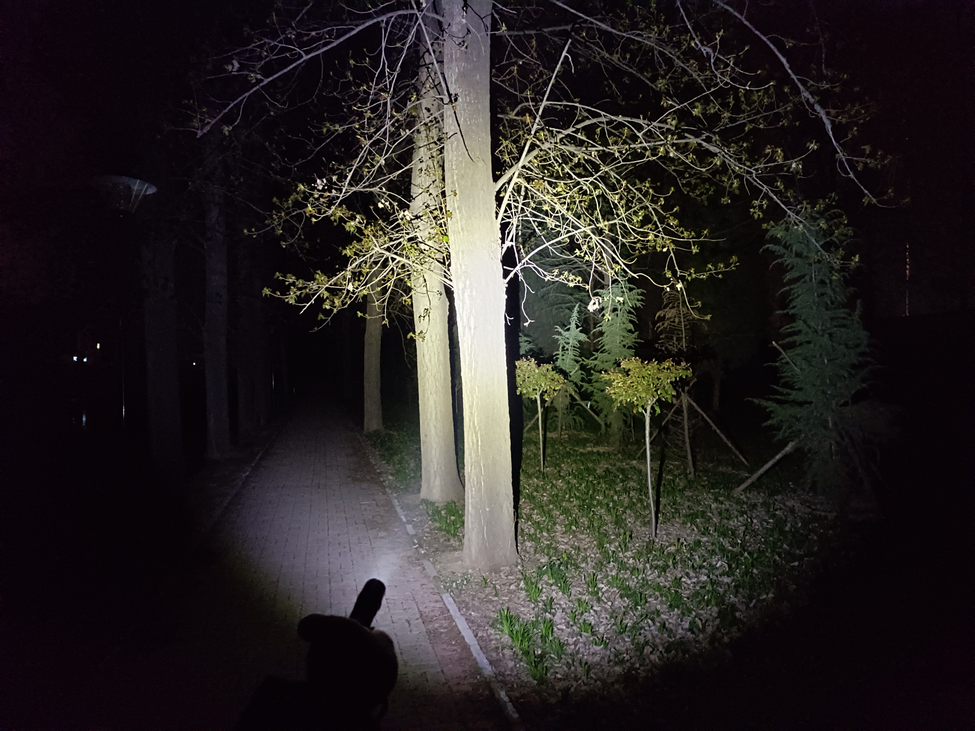 edc通勤,edc通勤必备