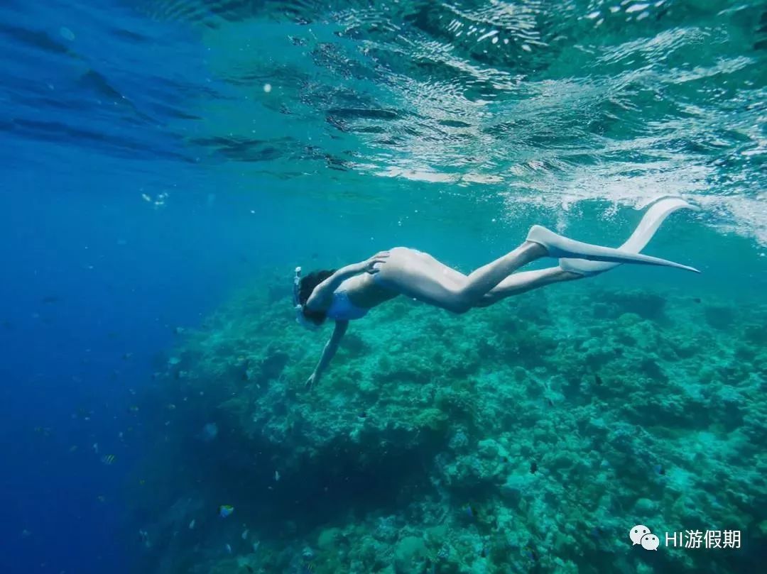 帕劳蓝洞潜水美人鱼,蓝色大海里的帕劳